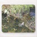 Suche nach frosch mousepads Teich