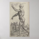 Suche nach andreas vesalius poster Knochen
