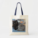 Suche nach persische katze taschen Haustier