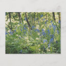 Suche nach wildflowers postkarten Flora