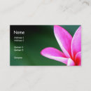 Suche nach plumeria visitenkarten Florist