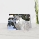 Suche nach weißer wolf karten Schnee