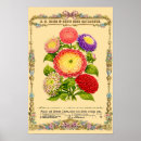 Suche nach viktorianische blumen poster Botanisch