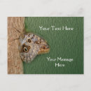 Suche nach eulen postkarten Schmetterlinge