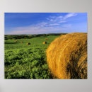 Suche nach flächen poster Feld