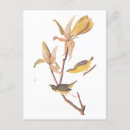 Suche nach vintage spinne postkarten Blume