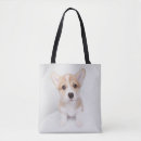 Suche nach corgi taschen Pembrauner weißer korgi
