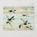 Suche nach flying postkarten Aquarell