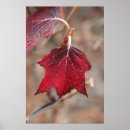 Suche nach blätter poster Zuhause