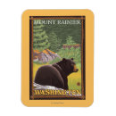 Suche nach regnerisch magnete Wald