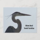 Suche nach großer blauer vogel postkarten Wildtiere