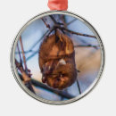 Suche nach schlag ornamente Tiere