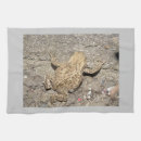 Suche nach amphibien geschirr tücher Tiere