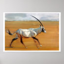 Suche nach oryx poster Wüste