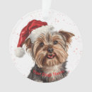 Suche nach yorkshire terrier ornamente Niedlich