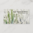 Suche nach weizen visitenkarten Feld