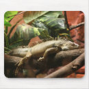 Suche nach leguane mousepads Tiere