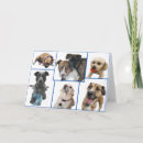 Suche nach rettungshund karten Blankokarte