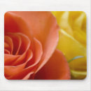 Suche nach orange ros mousepads Rose