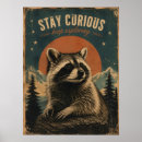 Suche nach waschbär poster Tier