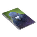 Suche nach tauben kleine notizbücher Natur