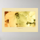 Suche nach grüner apfel poster Baum