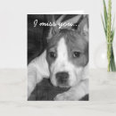 Suche nach pitbulls karten Grube