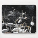Suche nach schwan mousepads Vögel