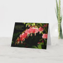 Suche nach blutendes herz karten Fotografie