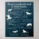 Suche nach kelpie poster Pferd