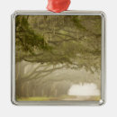 Suche nach eichen ornamente Niemand
