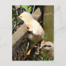 Suche nach entschlossenheit postkarten Ausdauer