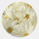 Suche nach gänseblümchen aufkleber Weiß