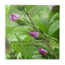 Suche nach lied untersetzer Christlich