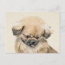 Suche nach pekingese postkarten Welpe