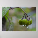 Suche nach gardening poster Nature