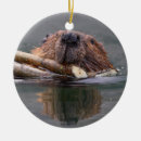 Suche nach niedlicher biber ornamente Tier