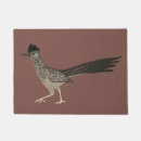 Suche nach roadrunner Vogel
