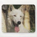 Suche nach weißer wolf mousepads Natur