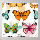 Suche nach zart poster Schmetterling