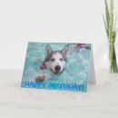 Suche nach schwimmbad karten Fotografie