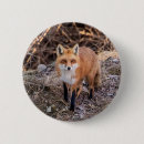 Suche nach fleischfresser buttons Natur