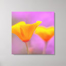 Suche nach wilde blumen leinwandbilder Quelle