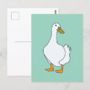 Suche nach weiße ente postkarten Natur