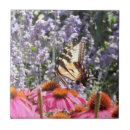 Suche nach schmetterling auf lila blumen fliesen Blumenreich