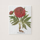 Suche nach pfingstrose puzzle Botanisch