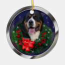Suche nach schweizer gebirgshund Weihnachten