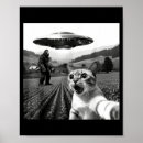 Suche nach katzen alien poster Lustige katze