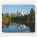 Suche nach immergrün mousepads Kiefer