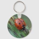 Suche nach bug schlüsselanhänger Natur